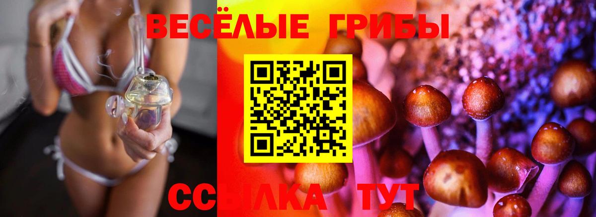 Псилоцибиновые грибы Cubensis Артём
