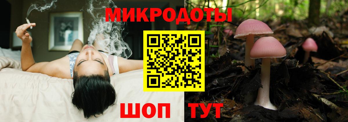 Артём  Псилоцибиновые грибы мухоморы  Вход с VPN  Галлюциногенные грибы Magic Shrooms 